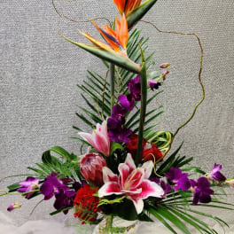 Tall tropical flower arrangement with orange bird of paradise and purple orchids in a glass vase
