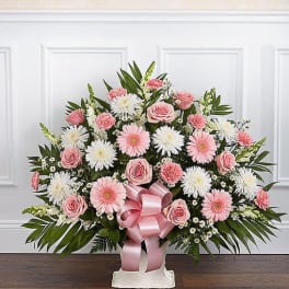 Fan-shaped pink and white arrangement with roses and daisies in a white container with a pink bow