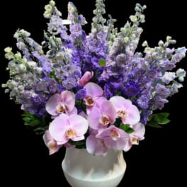 Pink orchids and purple flowers arranged in a white vase