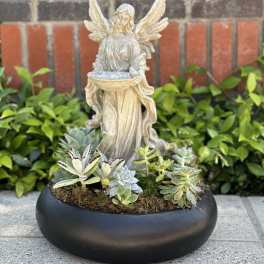 Succulent planter with an angel statue in a black bowl container