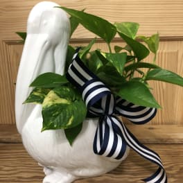 White ceramic swan planter with green pothos and striped ribbon