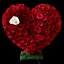 Heart-shaped arrangement of red roses with a white orchid accent