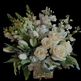 Cream roses and white flowers in a square glass vase