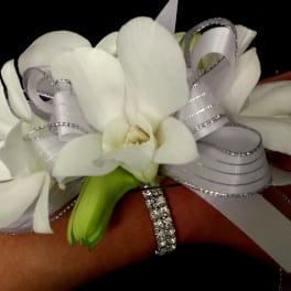 White orchid corsage with silver ribbon on a wrist