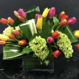 Colorful tulips arranged in a square glass vase with green blooms