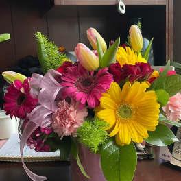 Candy Love, gerbera daisy combination. 