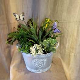 Mixed potted plants in a decorative metal bucket with butterfly picks
