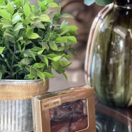 Potted green plant beside a box of nuts and chews