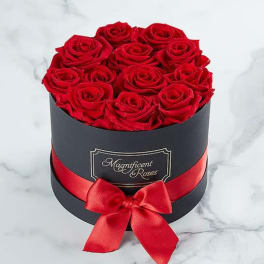 Red roses arranged in a black round box with a red ribbon bow