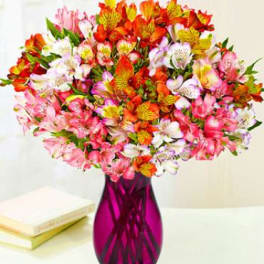 Mixed pink, white, and orange flowers in a purple vase
