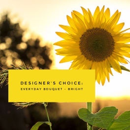 Sunflower with a yellow text banner reading designer's choice