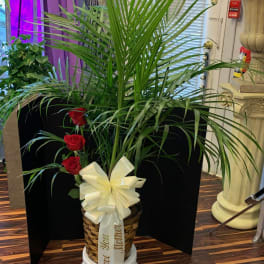 Potted palm arrangement with red roses and a cream ribbon bow