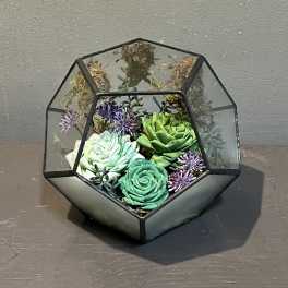 Sola Wooden Flower Centerpiece - Hexagon Terrarium