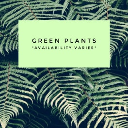Green plant foliage with a text card reading green plants