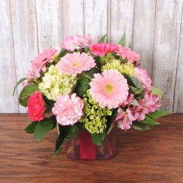 Compact arrangement of pink gerbera daisies, carnations, and hydrangeas in a pink cube vase