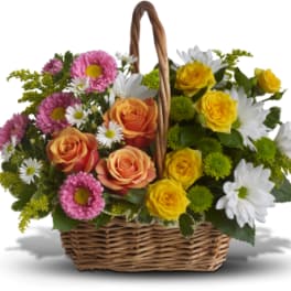 Basket of pink, orange, and yellow roses with white daisies
