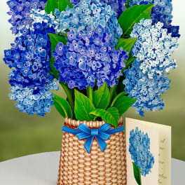 Nantucket Hydrangeas- Fresh Cut Paper Pop-Up Bouquet