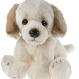 Plush puppy with cream fur and tan ears sitting on a white background