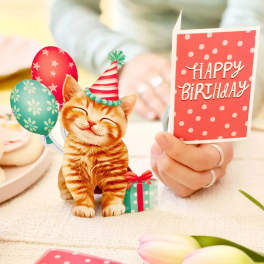 Mini Birthday Kitten Pop-Up Card