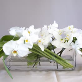 White orchids and tulips arranged in a clear rectangular vase