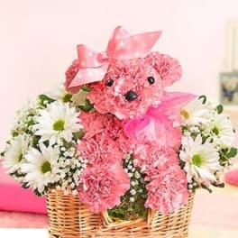 Pink teddy bear made of carnations with daisies in a wicker basket