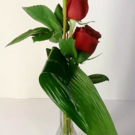 Three red roses in a clear glass vase with large green leaves