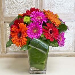 Bright gerbera daisy bouquet in a clear glass vase
