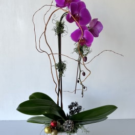 Purple orchids in a white square planter with decorative branches