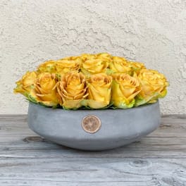 Low bowl of yellow roses in a gray container