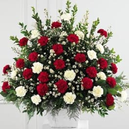 Large red and white carnation arrangement in a white container