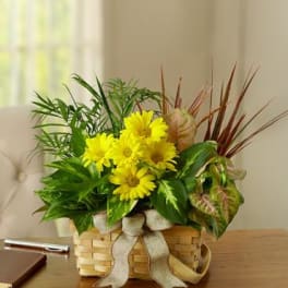 Yellow daisies in a wicker basket with a ribbon bow