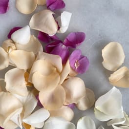 Scattered cream, white, and magenta rose petals on a gray surface