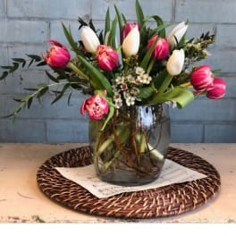 Pink and white tulips arranged in a glass vase