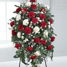 Standing spray of red and white carnations on an easel