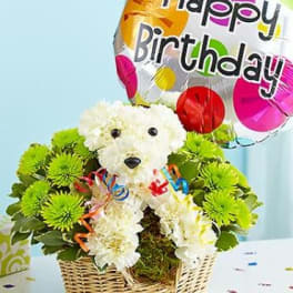 White flower teddy bear in a basket with a birthday balloon