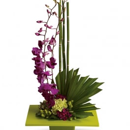Purple orchids with green bamboo and fan leaves in a square vase