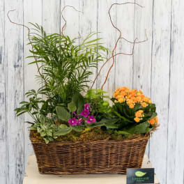 Mixed potted plants and orange flowers in a wicker basket