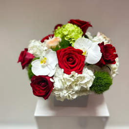 Bouquet of red roses, white orchids, and white hydrangeas in a square vase
