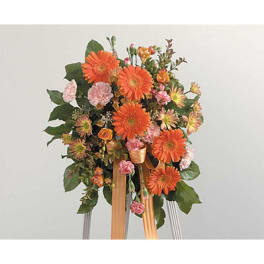 Orange gerbera daisy arrangement with pink carnations and ribbon streamers