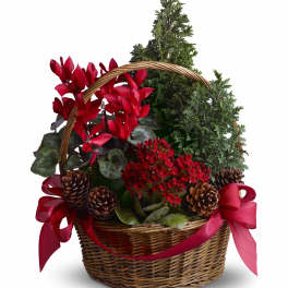 Tannenbaum Basket