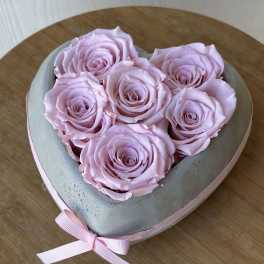 Heart-shaped box of pale pink roses tied with a pink ribbon