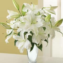 White lilies arranged in a clear glass vase