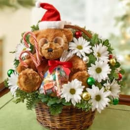 Teddy bear in a basket with daisies, candy canes, and a Santa hat