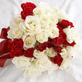 Bouquet of red and white roses tied with a red ribbon