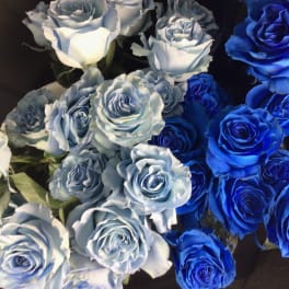 Cluster of blue and pale blue roses on a dark background