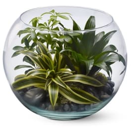 Glass bowl terrarium with assorted green houseplants and dark pebbles