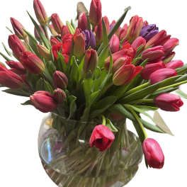Abundant bouquet of pink and red tulips with a few purple blooms in a round glass vase