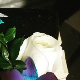 White rose with a purple orchid accent in a black box