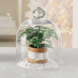 Christmas Cloche