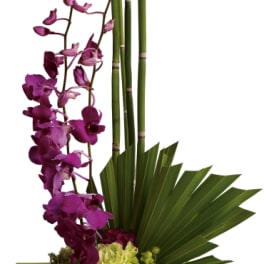 Purple orchids with bamboo and fan palm in a green container